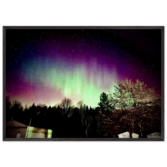 6f331d76-a186-4edc-b798-24e1666b423e