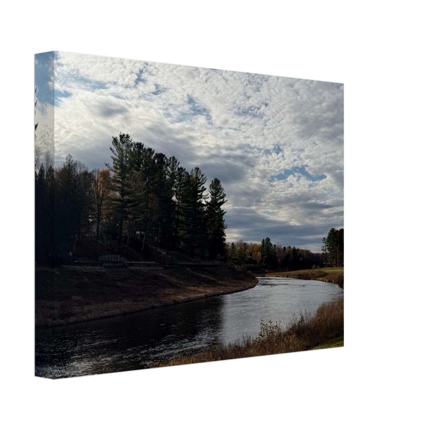 01e0c09a-9068-47b2-83b0-50f221fa6d01