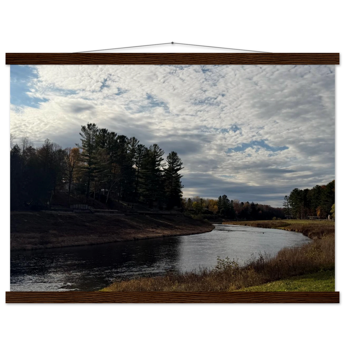 2676a4ff-bc97-40ae-a409-d5c735a90a96