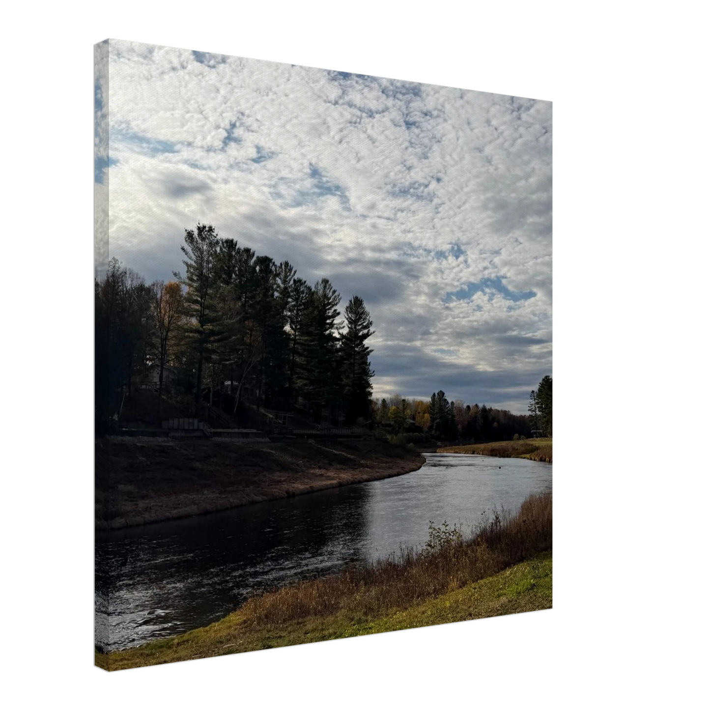 28af490a-7e49-4e5e-a5db-d1c4c98cc554