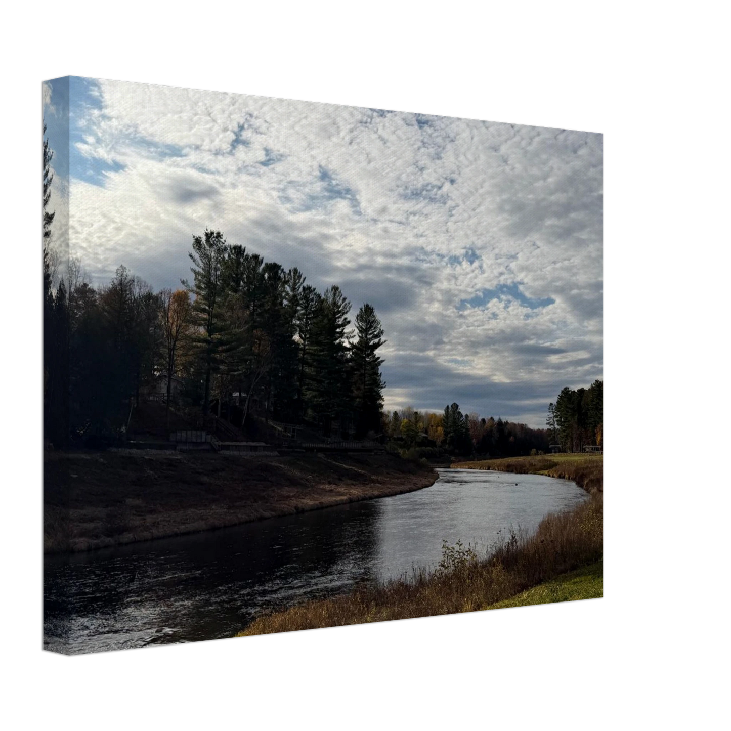 41b935a3-262f-4f17-9dbe-14fbdbf47a04