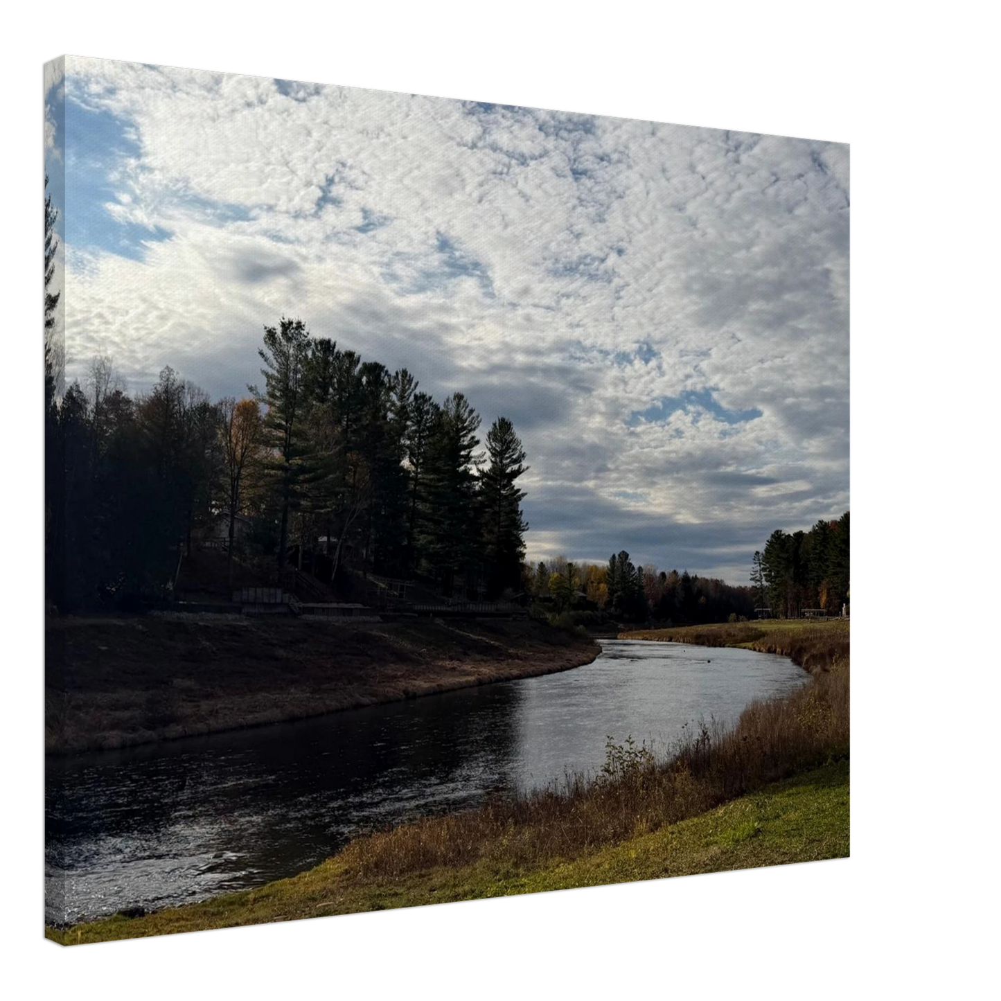 568bb1ff-f64b-4974-8f3d-6300039f6d13