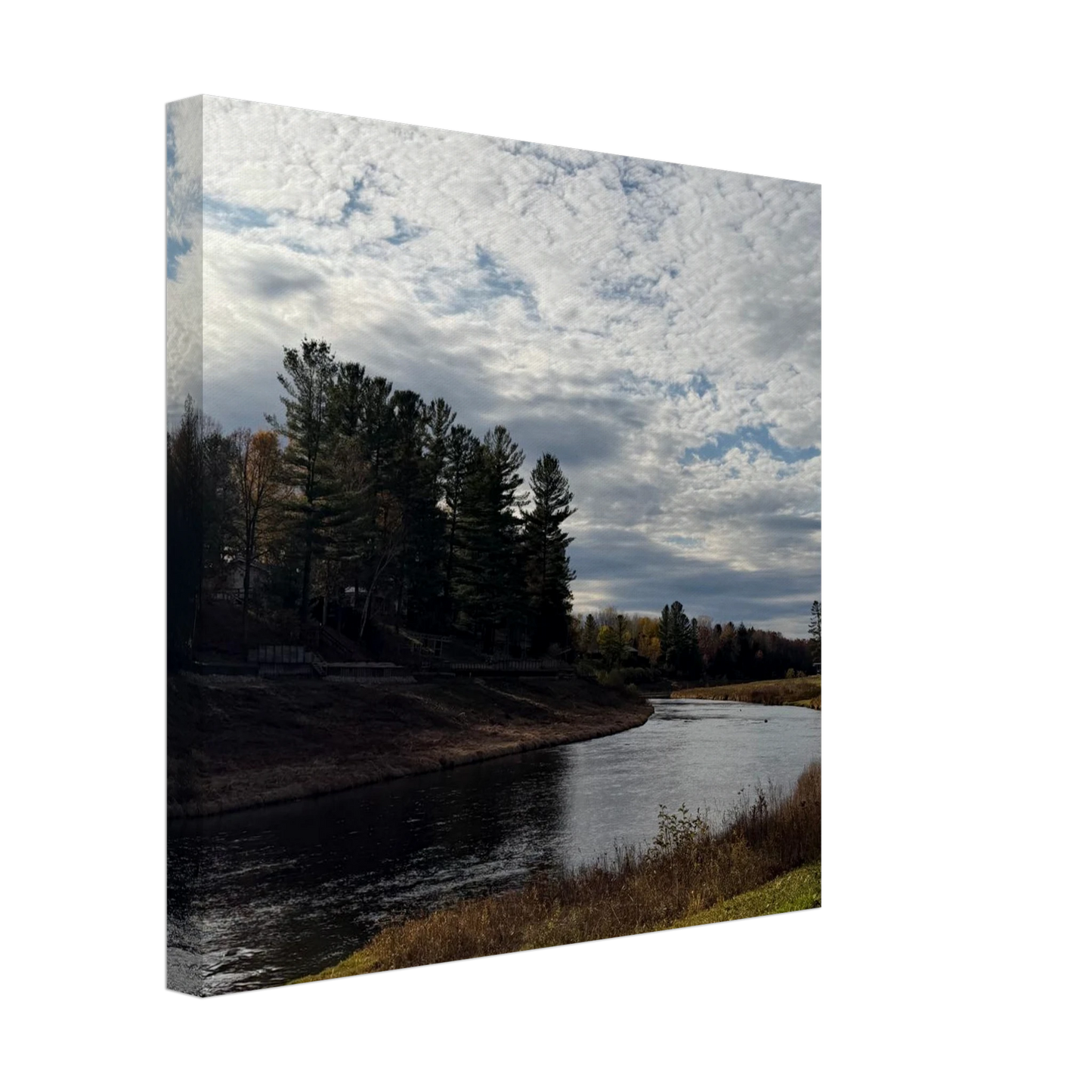 5c4416f4-d6f3-4c4e-8522-3578fb1bb0be