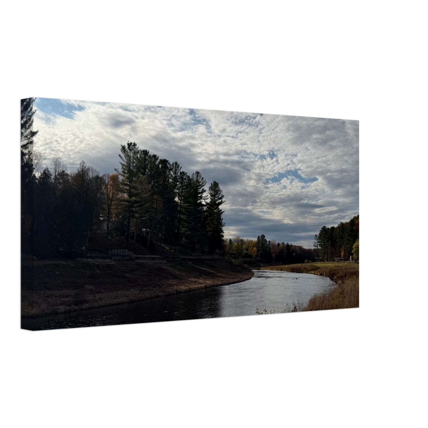 6bb1373c-2e68-4bf6-a5ea-04176b1af05c