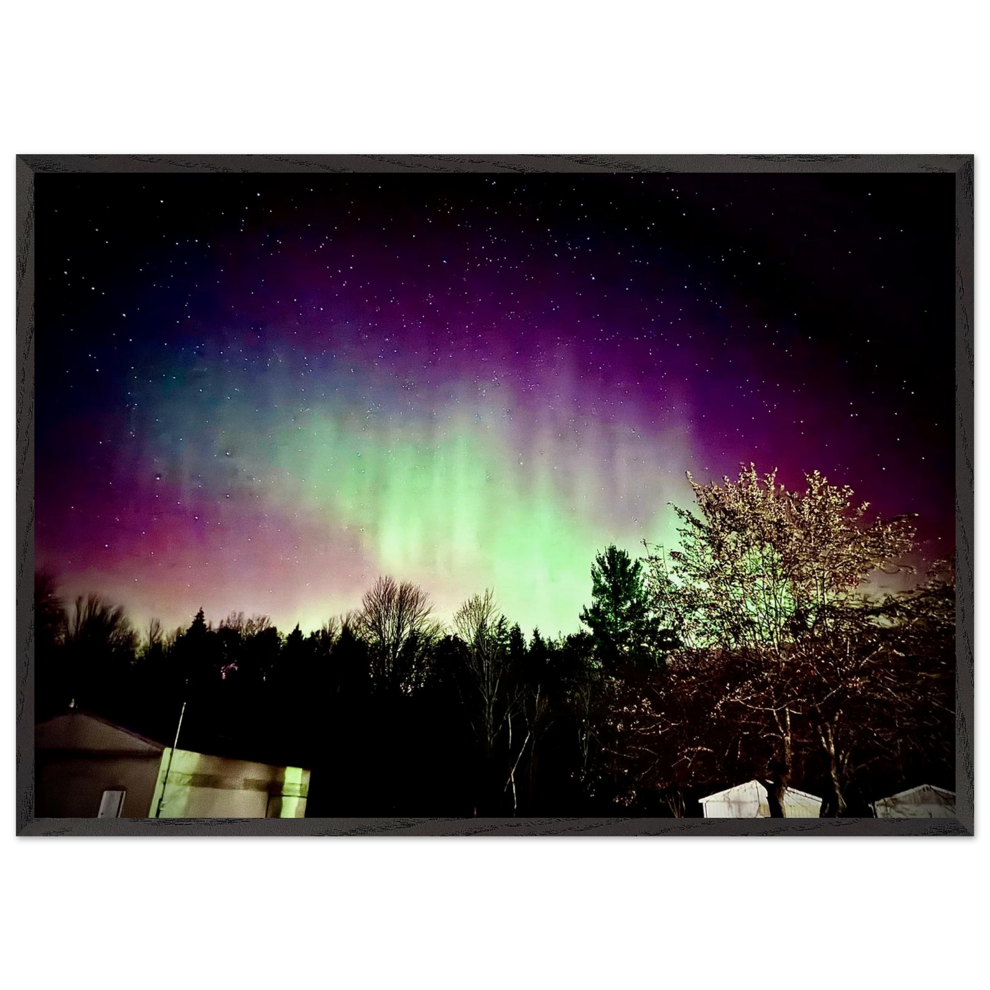 6f331d76-a186-4edc-b798-24e1666b423e