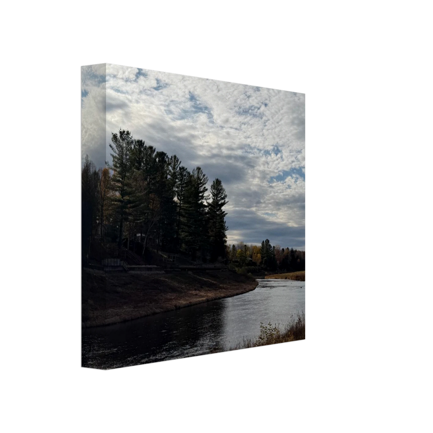 79571f95-5182-4f7c-b0d1-4ec44812d2dc