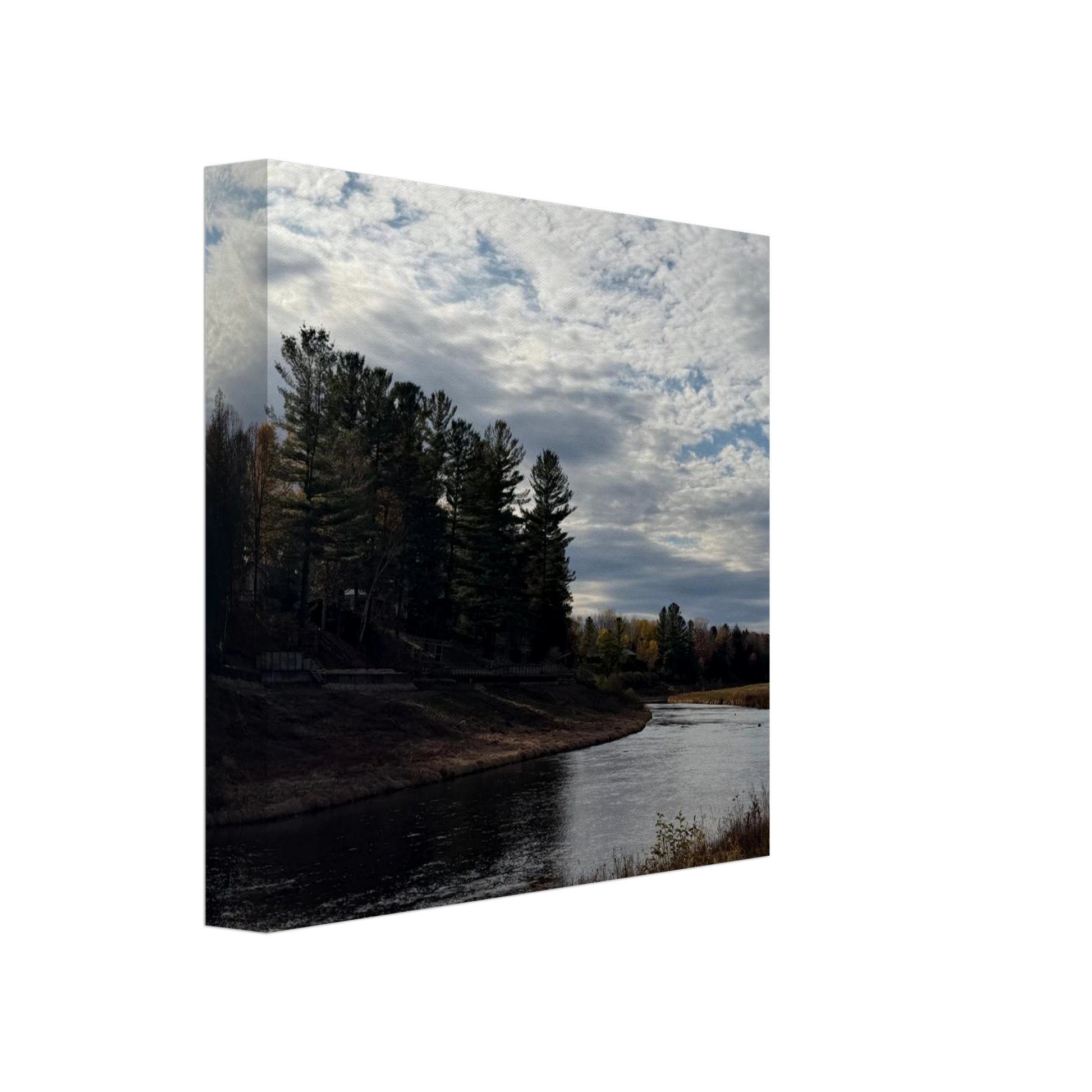 79571f95-5182-4f7c-b0d1-4ec44812d2dc