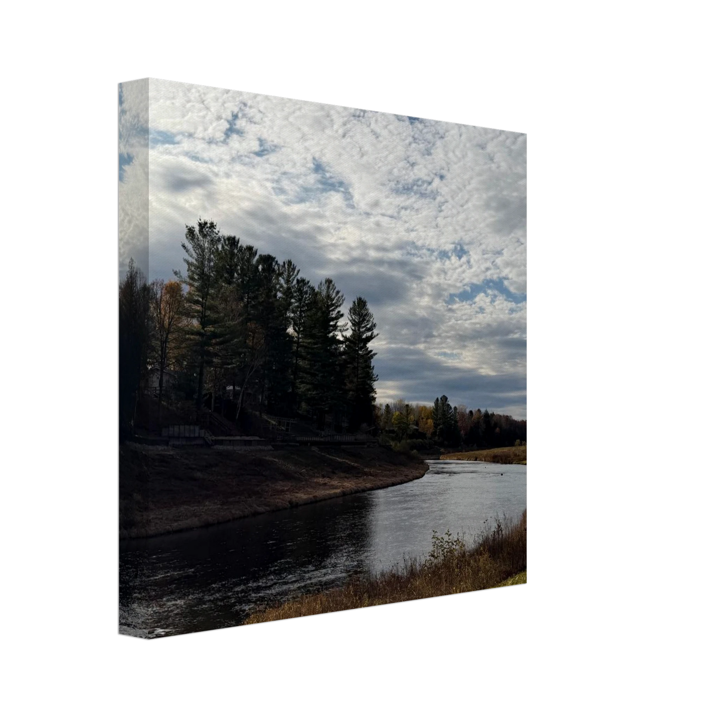 8db06c65-0a94-469c-8cbf-adb474db203d