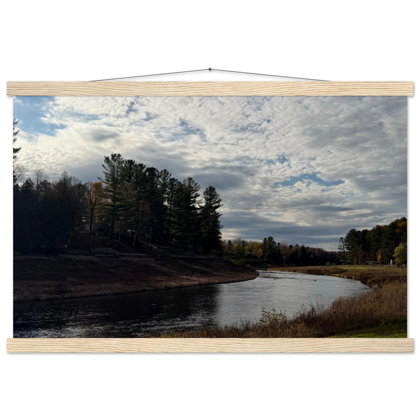 8dcd7557-08ba-4402-990e-9e5705a6d263