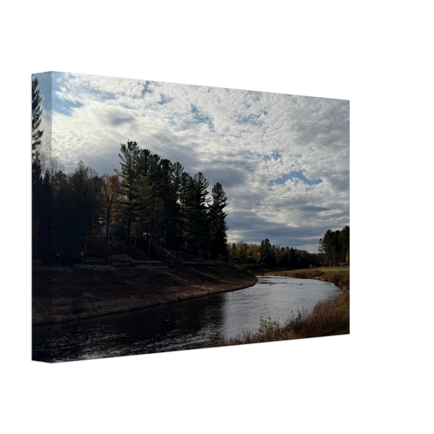 8f63aba9-e411-429d-975e-a295bd608d90