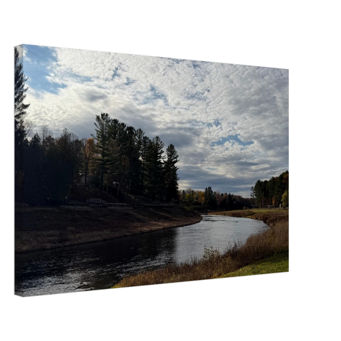 9077cd95-a063-410b-b99c-99bfee9efa76