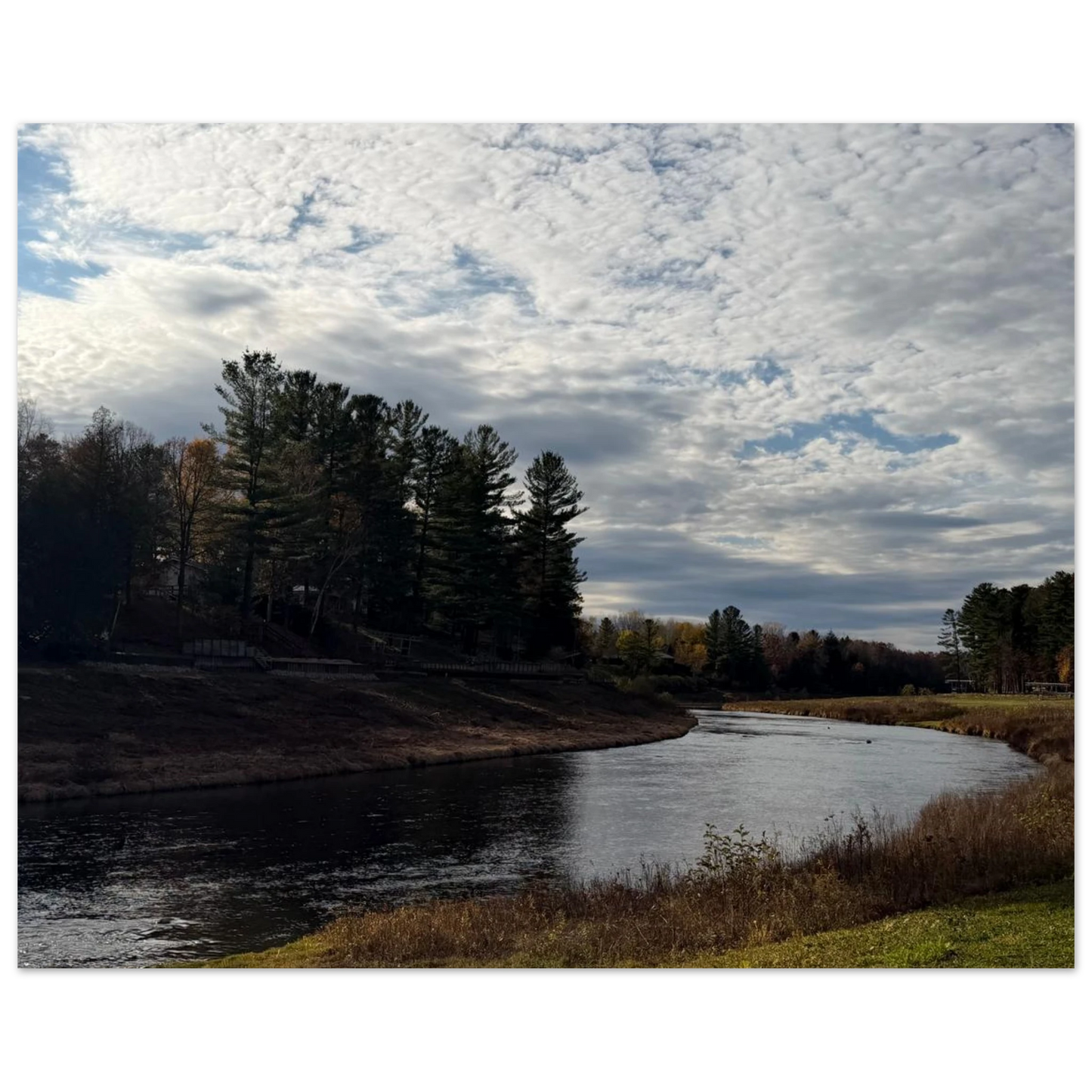 96b54d3a-ee6d-46e4-a2e8-160021acfce9