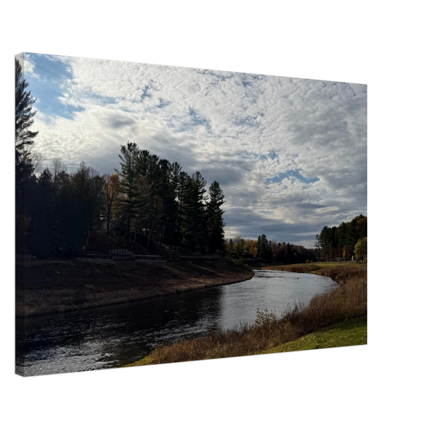 a4f4e281-31a5-403a-bb64-4287f75ecc93