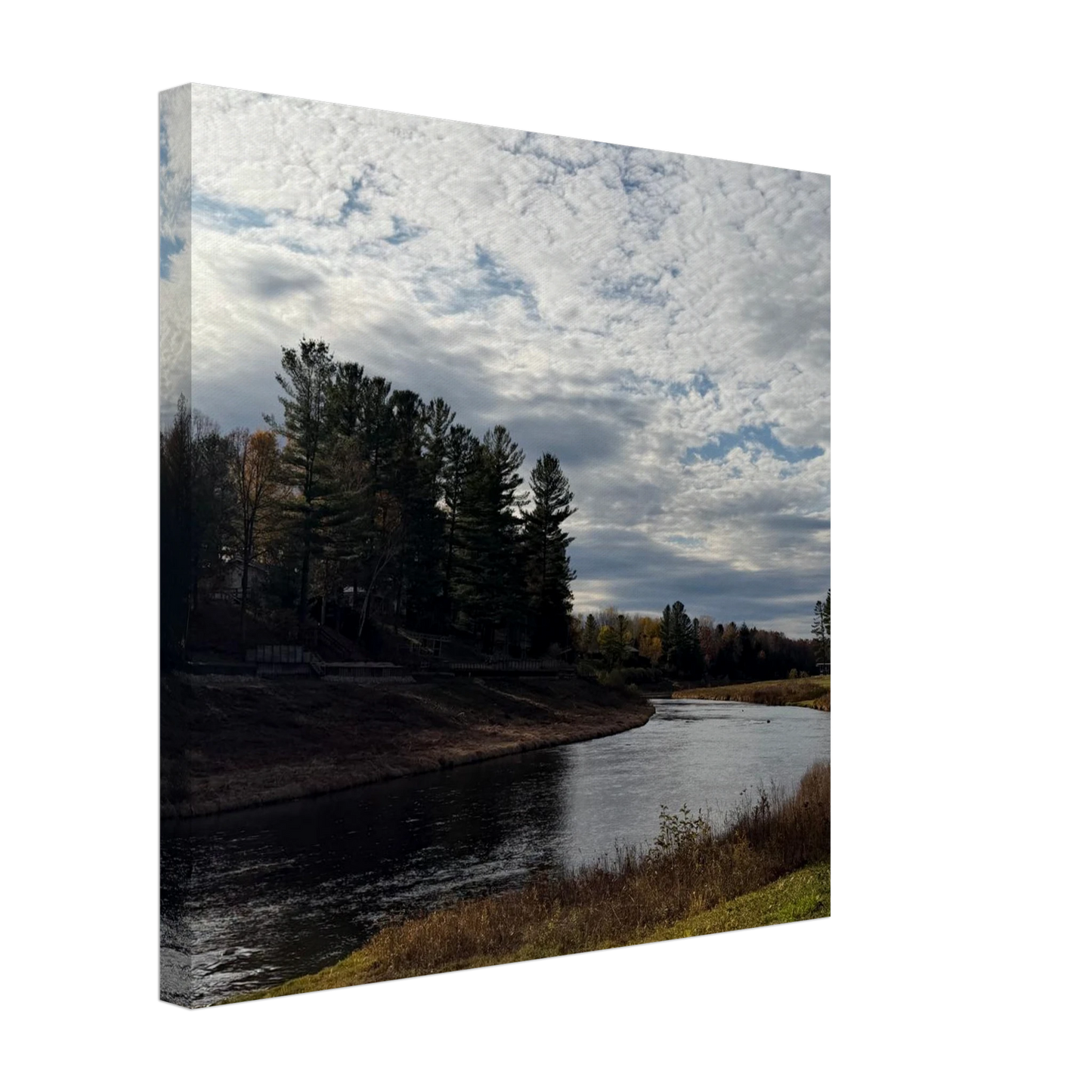 c66c655c-9996-4d41-8cb6-48c4b08d9cc8