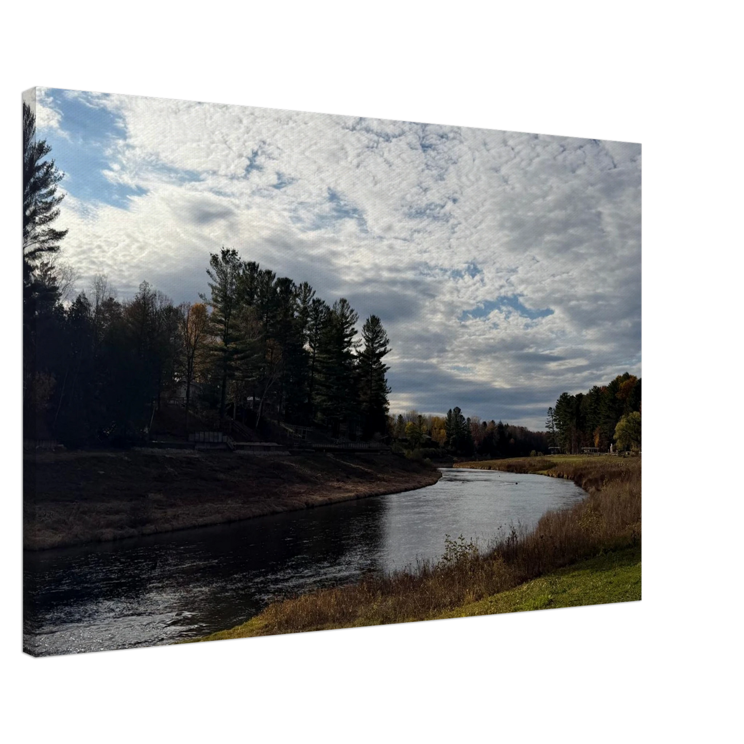 c92a0d24-4607-425c-b6e6-aea1ed557741