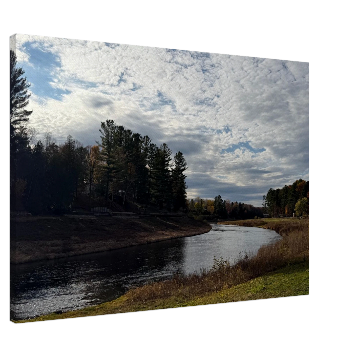 cfb04fed-1489-4a2e-bf14-c7cd548c8d3b