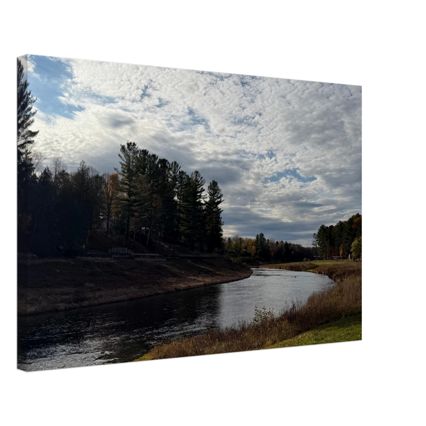 d85b1e49-fd6b-4b9f-8a17-e2a0c049b86c