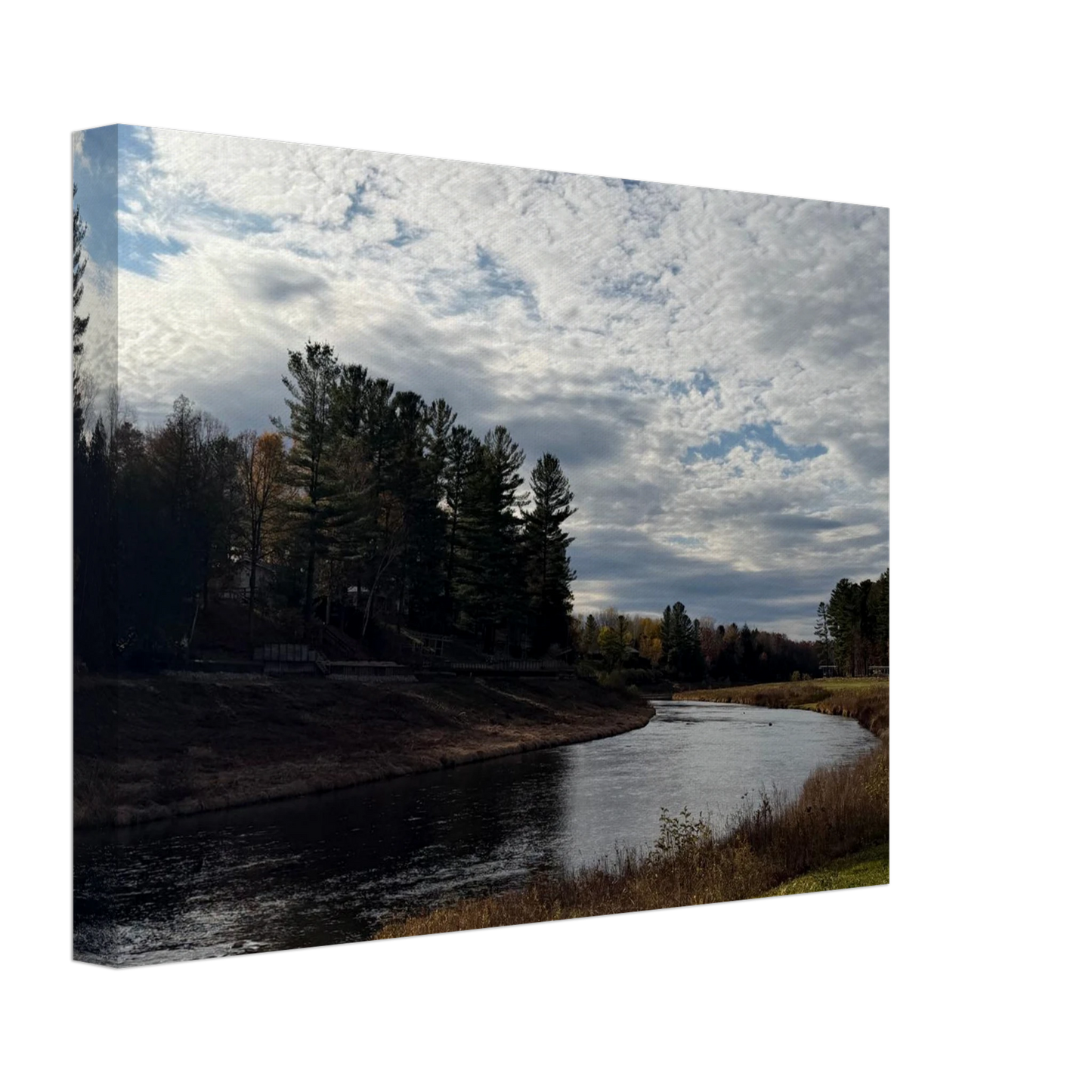 d8f0253c-b340-46bf-87a5-79cf3d37d4cb