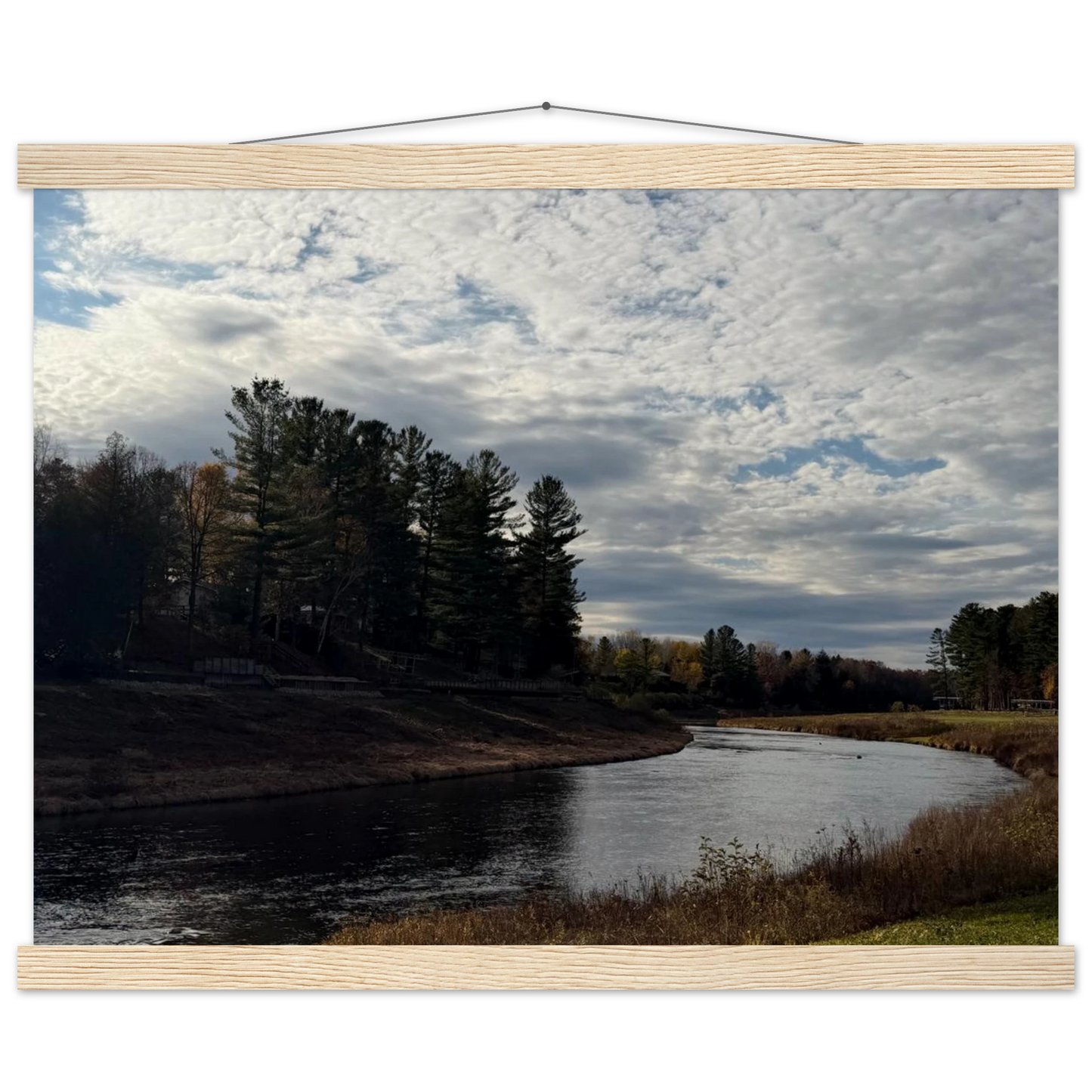 d8f91491-1ceb-4cfa-a33c-4dd324500bfd