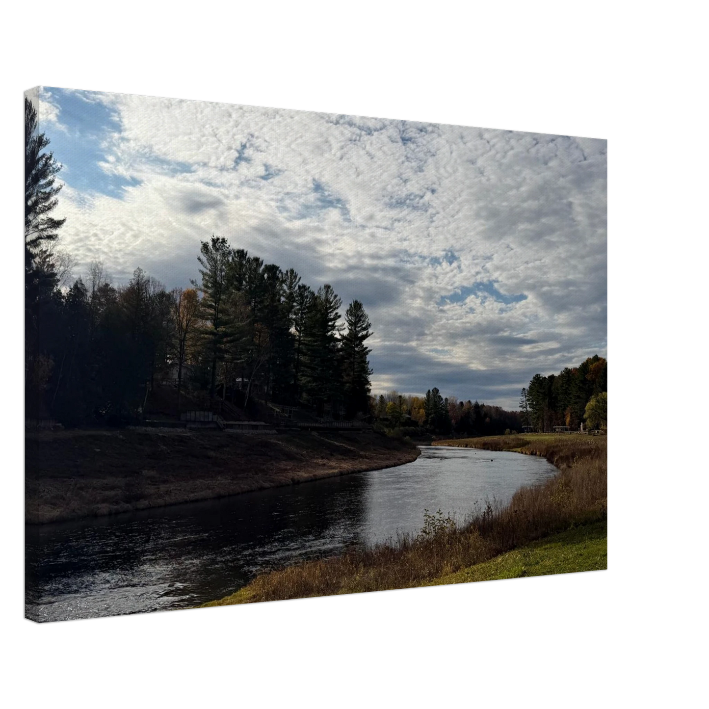 daa01138-9ec3-4762-9f58-2310bd970cca