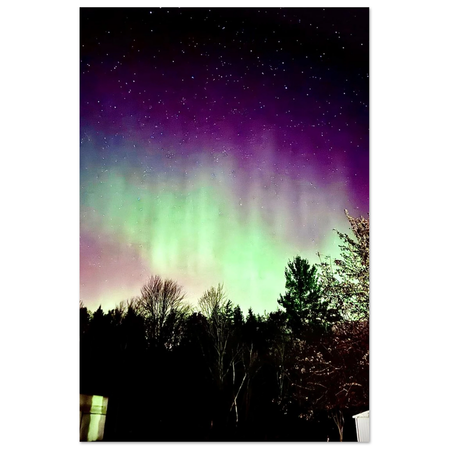 e79c6ab2-8e80-4403-a0c9-6b8f590dc1bb