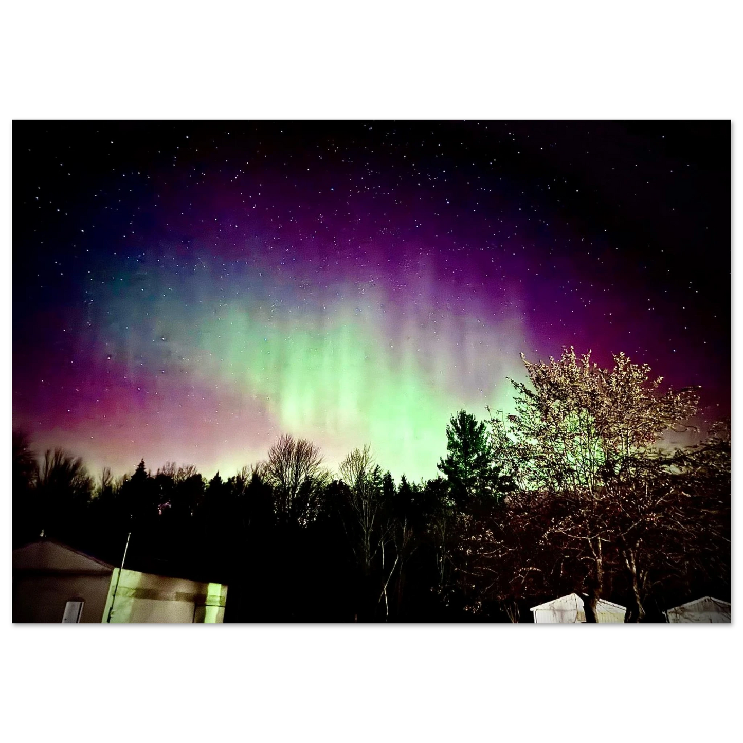 ea410742-b69f-4fa1-b9b6-dc77eeaceb0b