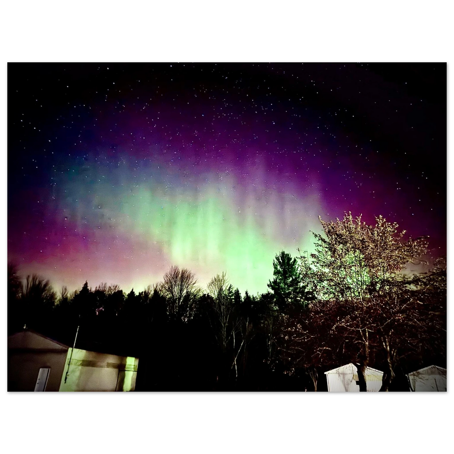 eaa74d19-403e-44ca-aeb9-e128dfdabc24