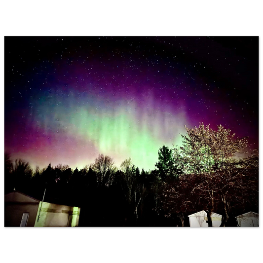 eaa74d19-403e-44ca-aeb9-e128dfdabc24