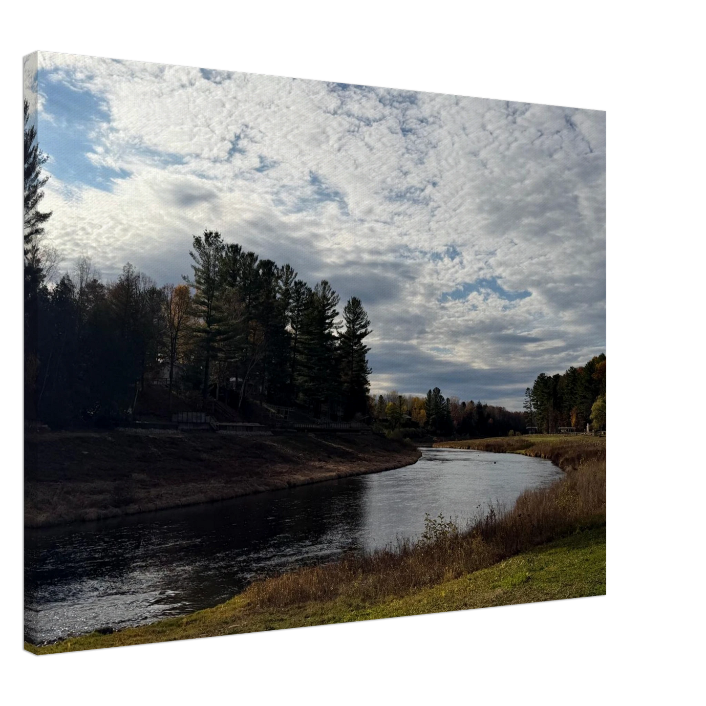 ef0e348b-234f-48c2-beb2-f588fc46f6a9