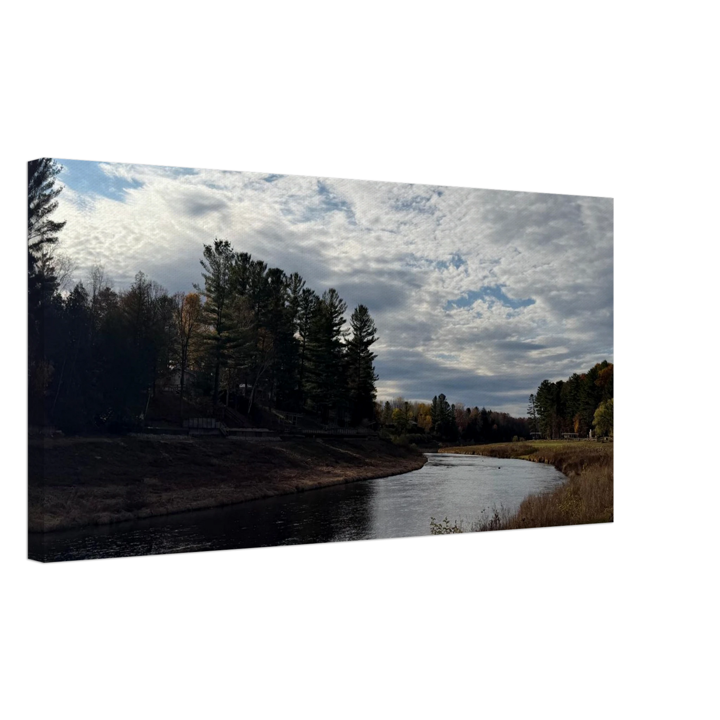 feddf45e-ea35-453b-8019-737fc3b0dff0